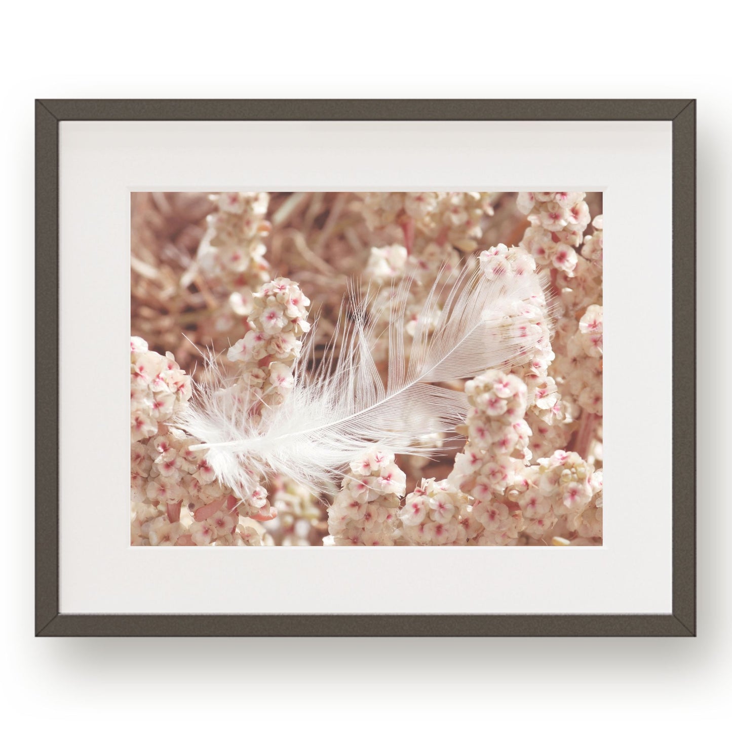 #1151 White Feather in Pink Flowers, Printable Art, Digital Download, Home Decor, Gallery Art, Wall Art