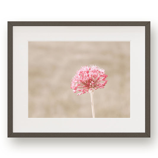 #1152 Pink Flower in Meadow, Printable Art, Digital Download