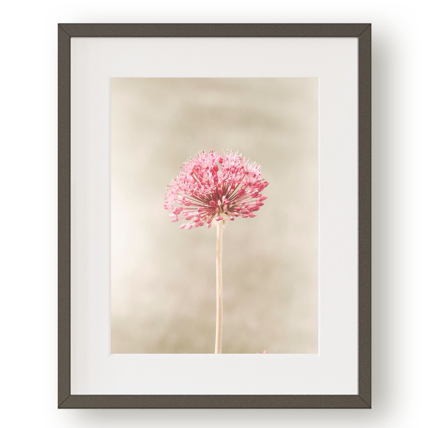 #1153 Pink Flower in Meadow, Printable Art, Digital Download, Home Decor, Gallery Art, Wall Art