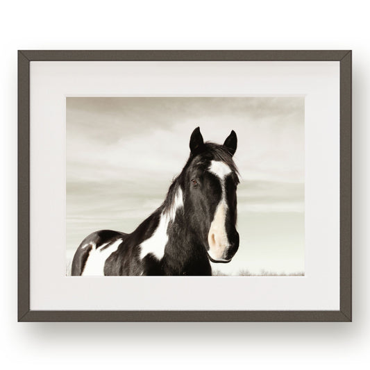 #1155 Black and White Horse, Printable Art, Digital Download, Home Decor, Gallery Art, Wall Art