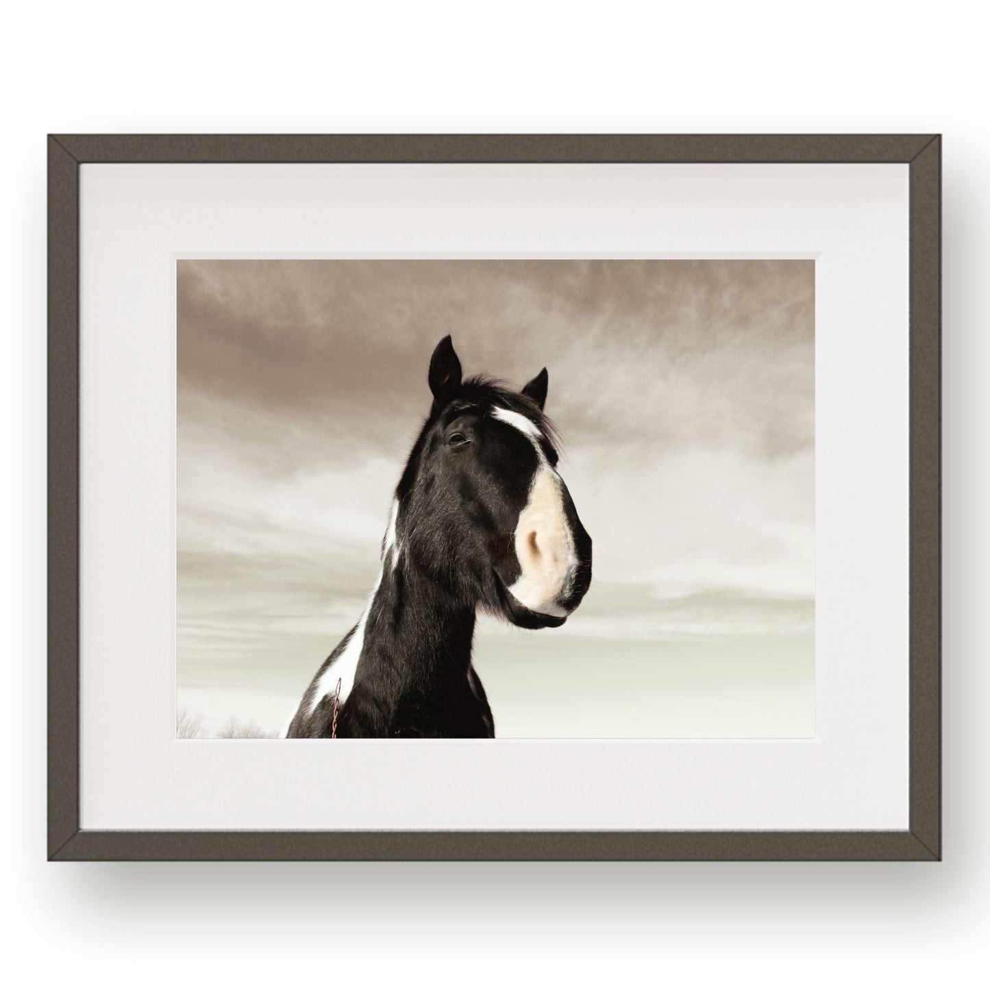 #1157 Black and White Horse, Printable Art, Digital Download, Home Decor, Gallery Art, Wall Art