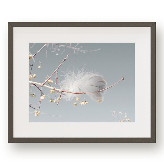 #1161 Gray Feather on Branch, Printable Art, Digital Download, Home Decor, Gallery Art, Wall Art