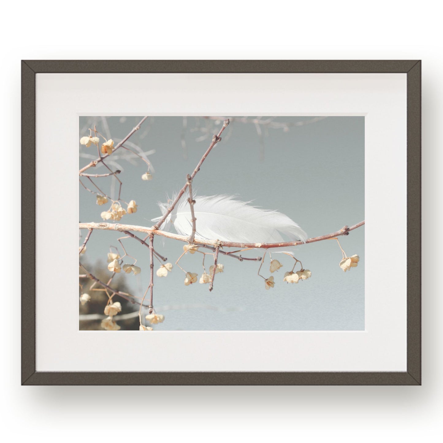 #1163 White Feather on Branch, Printable Art, Digital Download, Home Decor, Gallery Art, Wall Art