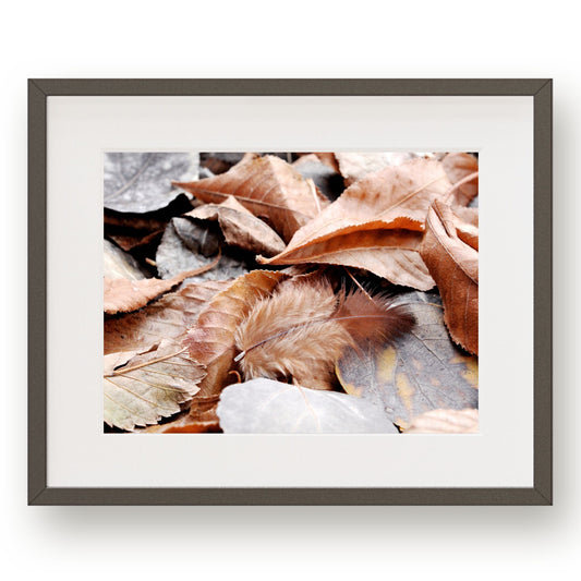 #1174 Brown Feather in Orange Fallen Leaves, Printable Art, Digital Download, Home Decor, Gallery Art, Wall Art