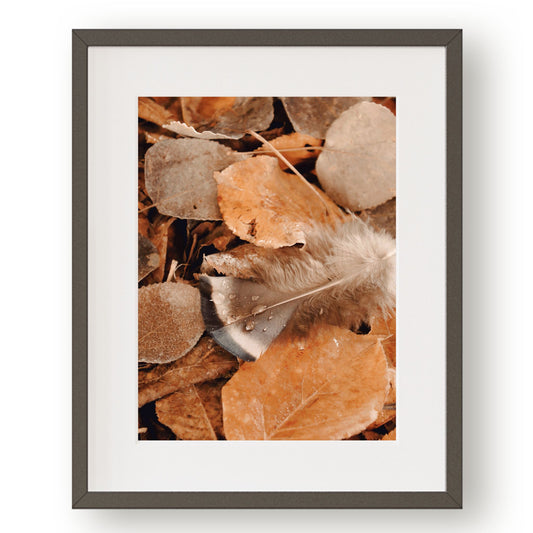 #1177 Rain Drop Kissed Brown Feather in Golden Fallen Leaves, Printable Art, Digital Download, Home Decor, Gallery Wall Art