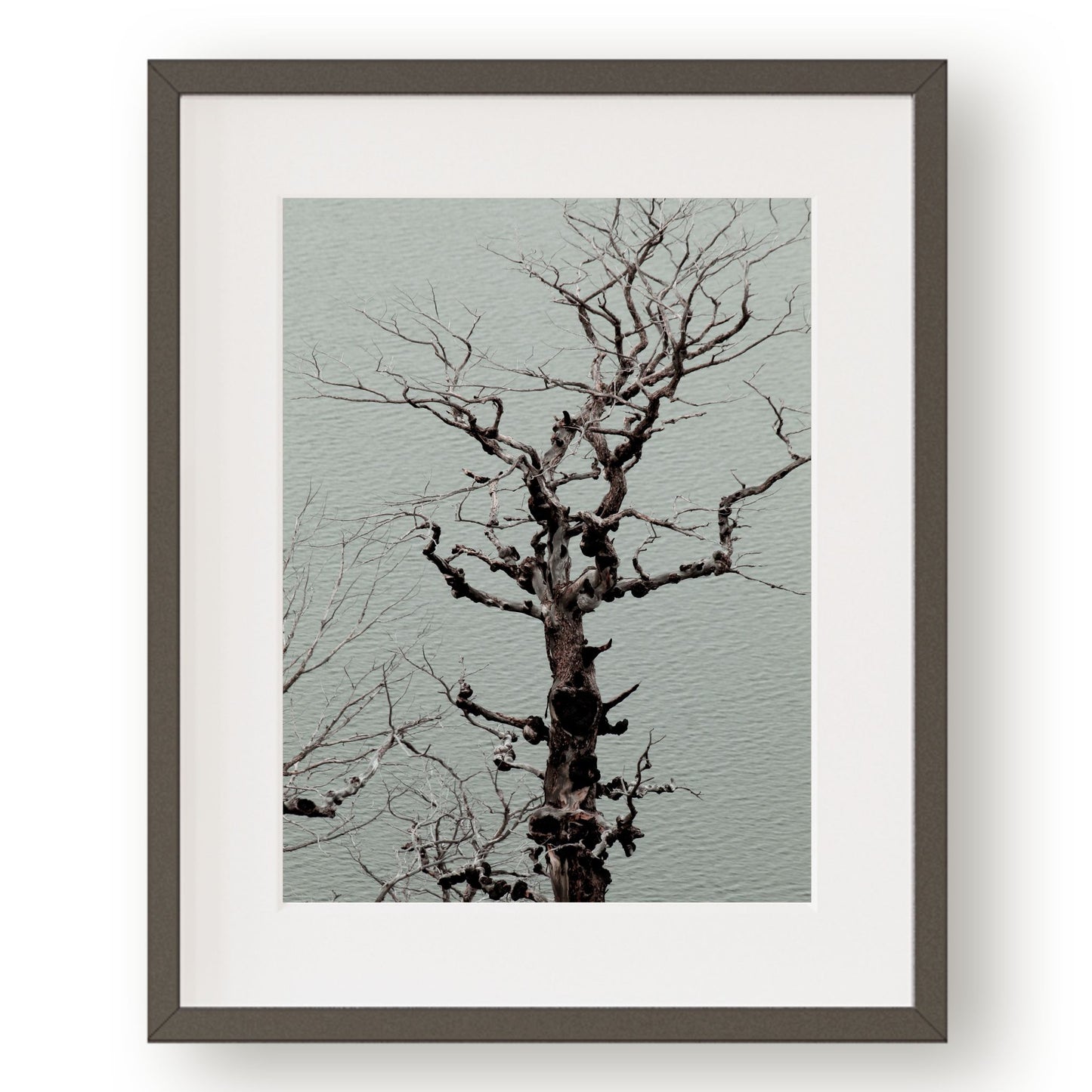 #1178 Twisted Tree on Lake, Printable Art, Digital Download, Home Decor, Gallery Art, Wall Art