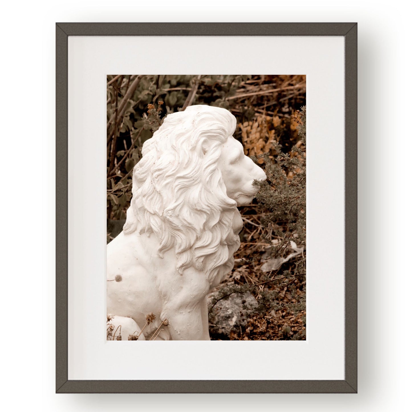 #1188 White Stone Lion, Printable Art, Digital Download, Home Decor, Gallery Art, Wall Art