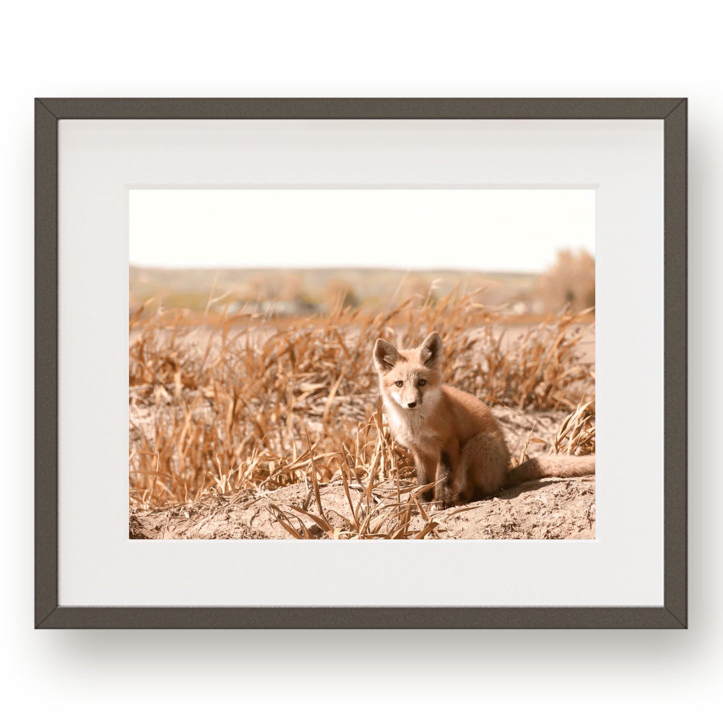 #1189 Wild Fox in Field, Printable Art, Digital Download, Home Decor, Gallery Art, Wall Art