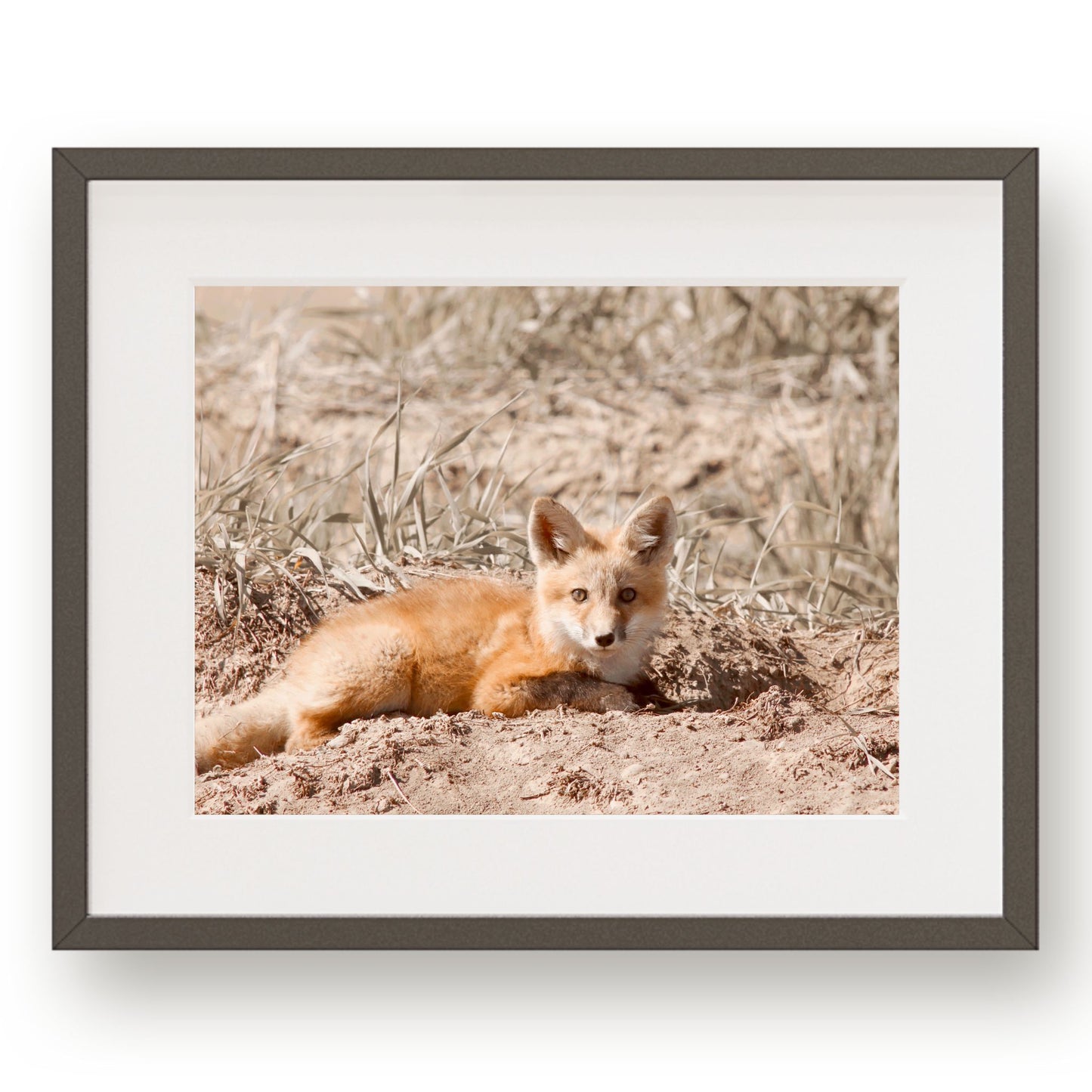 #1190 Wild Fox in Field, Printable Art, Digital Download, Home Decor, Wall Art, Gallery Art