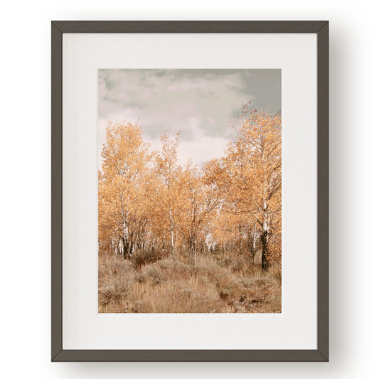 #1203 Golden Aspen Tree Grove, Printable Art, Digital Download, Gallery Wall Art