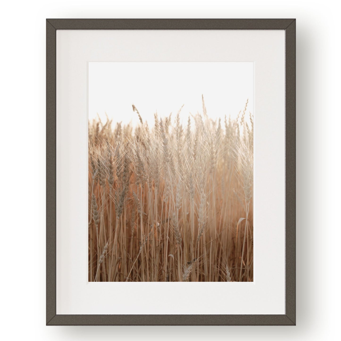 #1224 Golden Wheat Field, Printable Art, Digital Download, Home Decor, Gallery Art, Wall Art