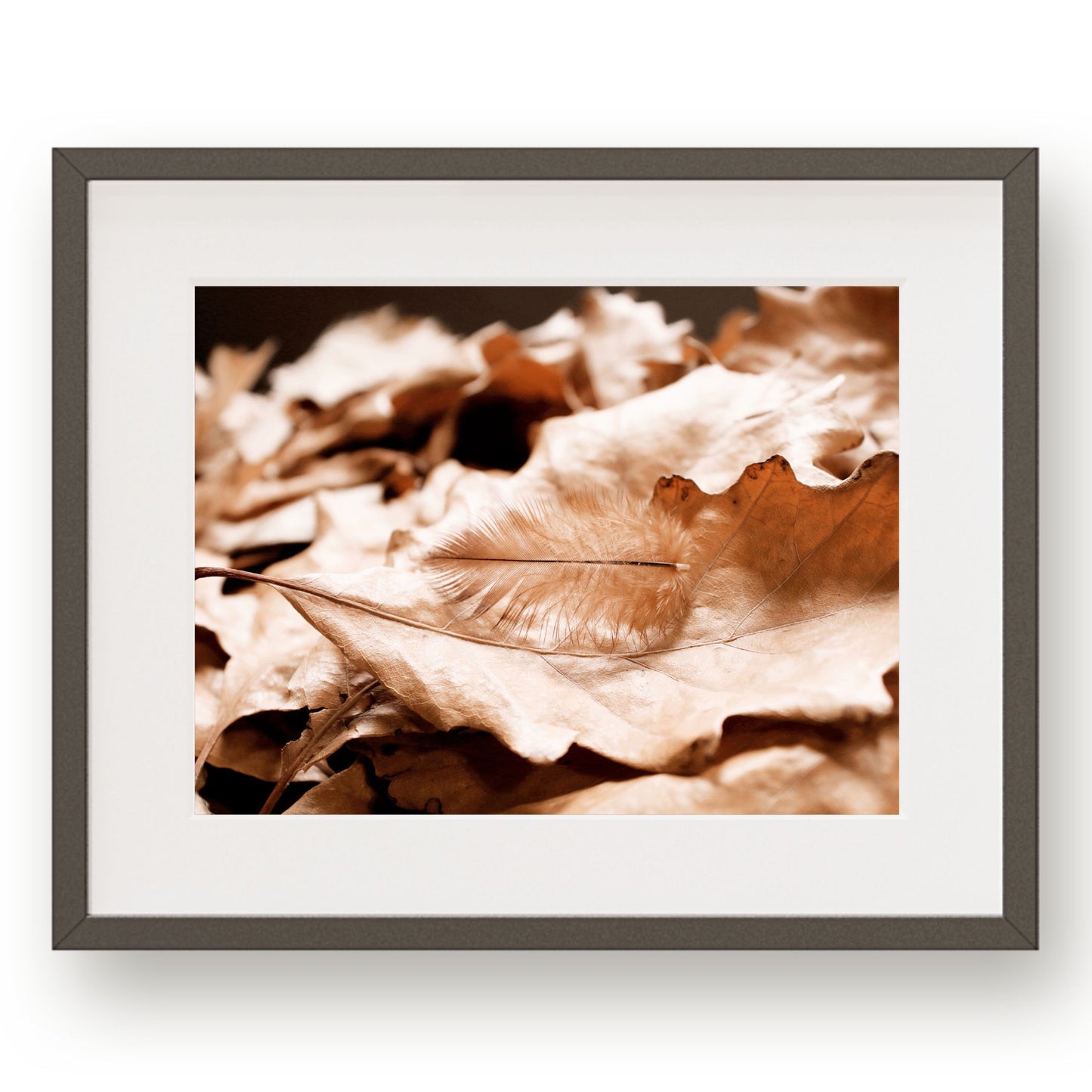 #1239 Brown Feather in Fallen Golden Leaves, Printable Art, Digital Download, Home Decor, Gallery Wall Art