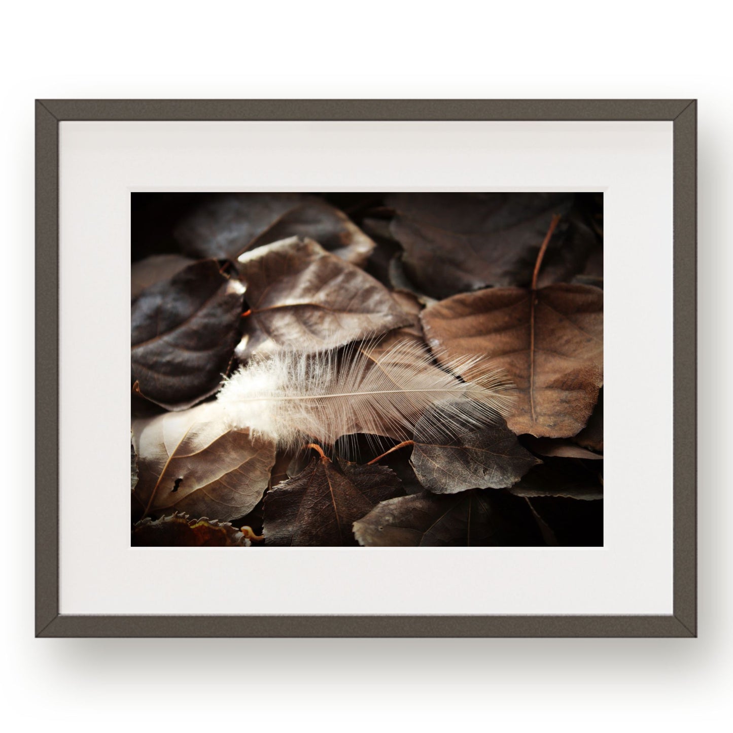 #1247 White Feather on Fallen Leaves, Printable Art, Digital Download