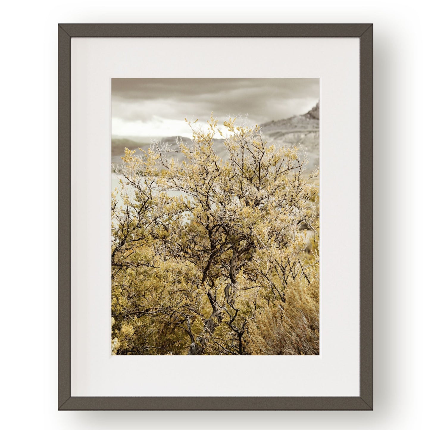 #1262 Green Sage Bush Overlooking Lake, Printable Art, Digital Download, Home Decor, Gallery and Wall Art