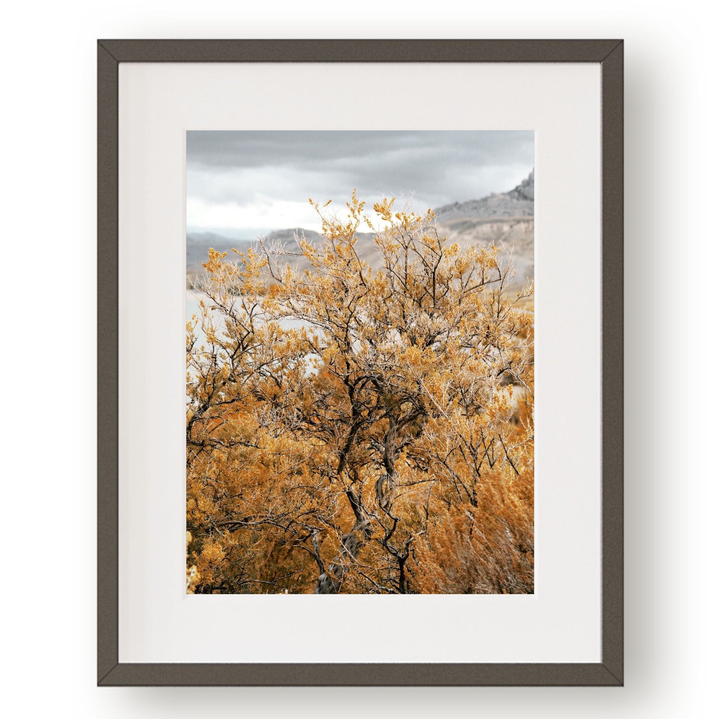 #1263 Golden Sage Bush On Lake, Printable Art, Digital Download, Home Decor, Gallery Wall Art