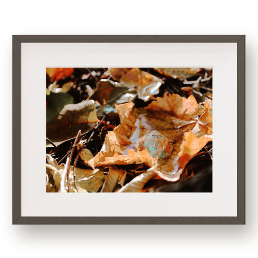 #1270 20 Sided Die in Fall Leaves, Printable Art, Digital Download, Home Decor, Gallery Art, Wall Art