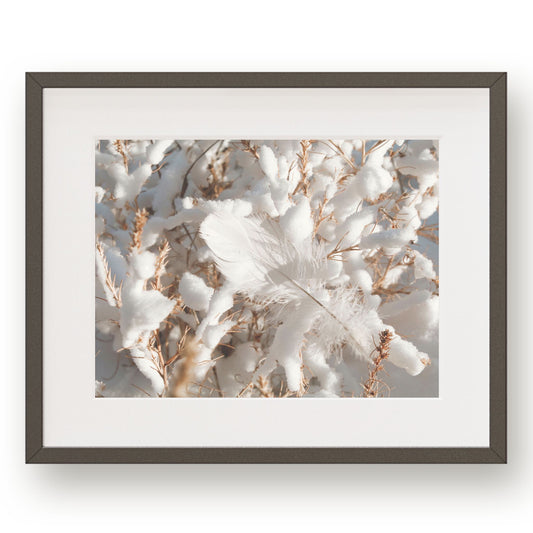 #1275 White Feather in Snow, Printable Art, Digital Download, Home Decor, Gallery Art, Wall Art