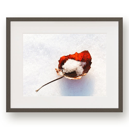 #1300 Snow in Red Leaf, Printable Art, Digital Download, Home Decor, Gallery Art, Wall Art