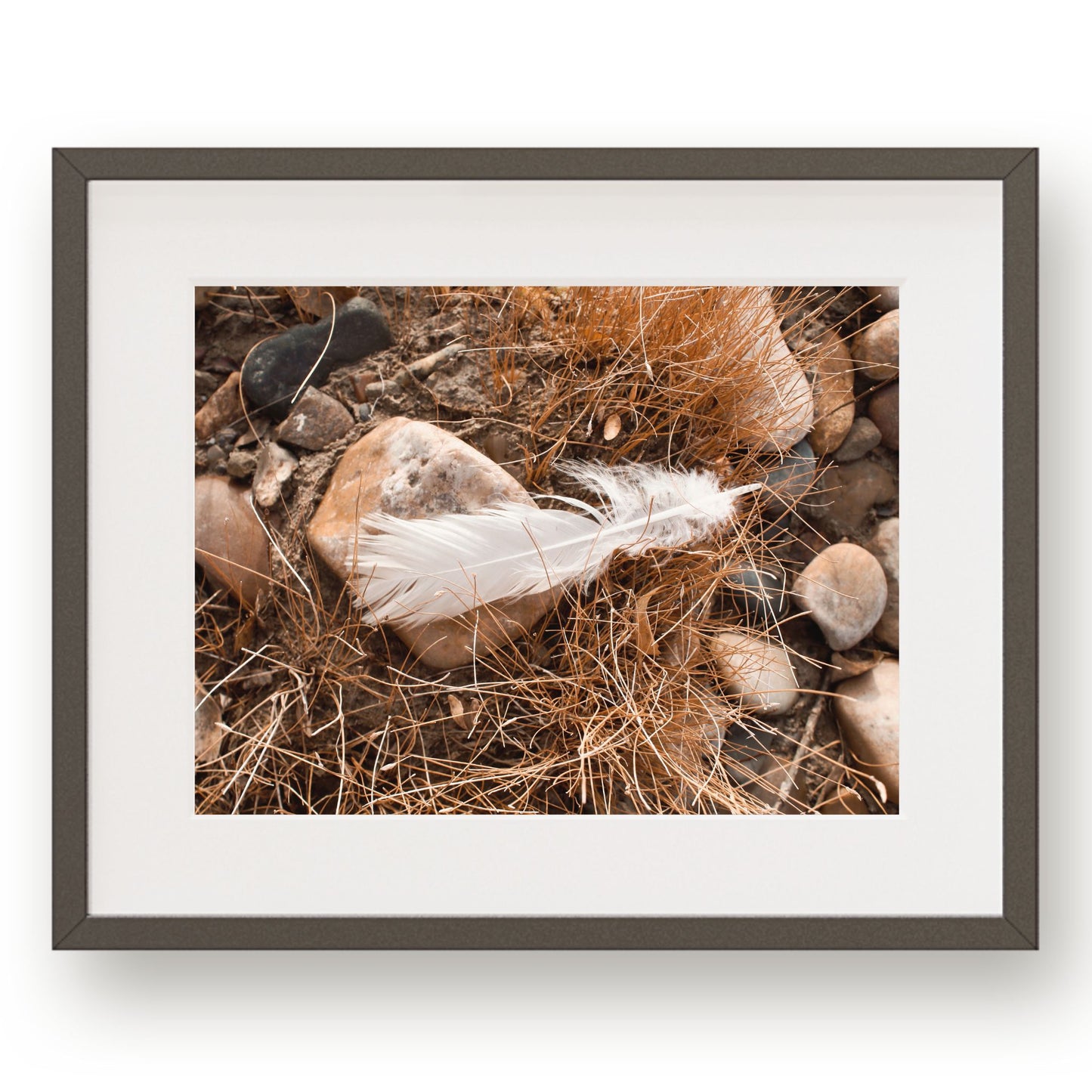 #1317 White Feather in River Rocks, Printable Art, Digital Download, Home Decor, Gallery Wall Art