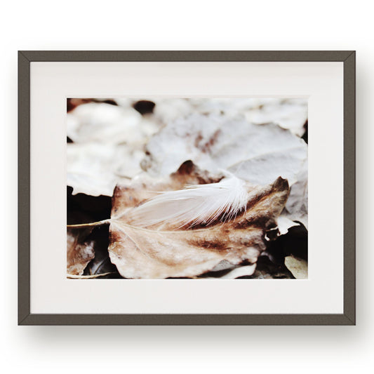 #1335 White Feather on Golden Fallen Leaves, Printable Art, Digital Download, Home Decor, Gallery Wall Art