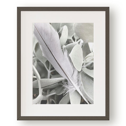 #1338 Gray Feather Against Green Succulent Leaves, Printable Art, Digital Download, Home Decor, Gallery Wall Art