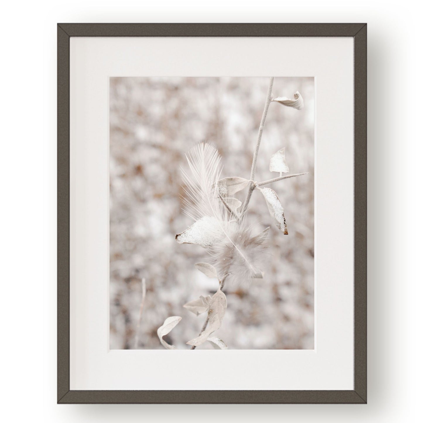 #1344 Winter White Feather, Printable Art, Digital Download, Home Decor, Gallery Wall Art