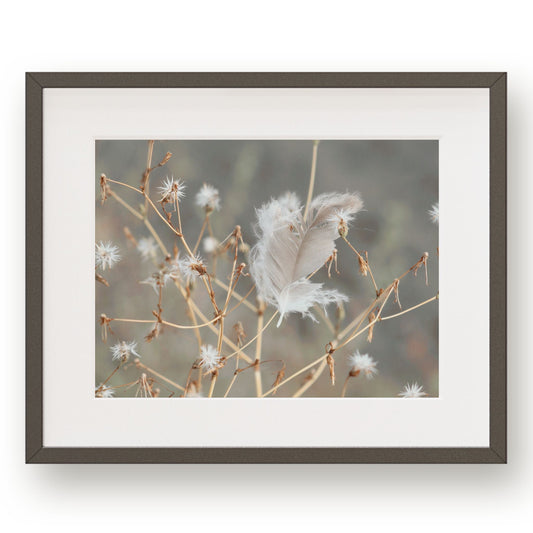 #1346 Gray Feather in Meadow, Printable Art, Digital Download, Home Decor, Gallery Art, Wall Art