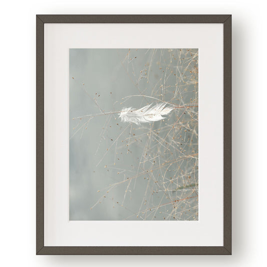 #1349 White Feather on Blue Lake, Printable Art, Digital Download, Home Decor, Gallery Art, Wall Art