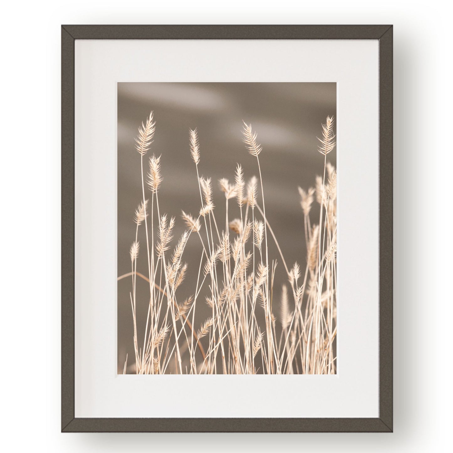 #1356 Sunbleached Golden Meadow Grass Printable Art, Digital Download, Home Decor, Gallery Art, Wall Art