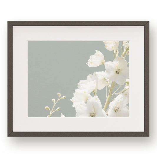 #1359 White Flower Against Blue Sky, Printable Art, Digital Download, Home Decor, Gallery Wall Art