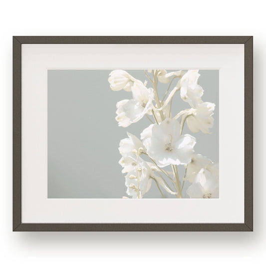 #1360 White Flower Against Blue Sky, Printable Art, Digital Download, Home Decor, Gallery Wall Art