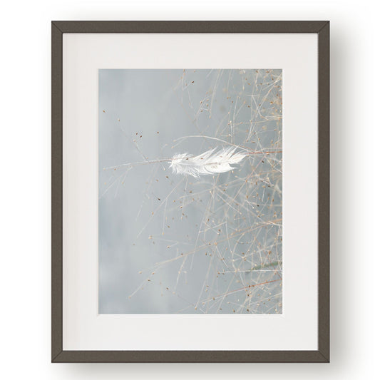 #1364 White Feather Against Blue Lake - Printable Art - Digital Download - Home and Office Art - Home Decor - Gallery Wall Art