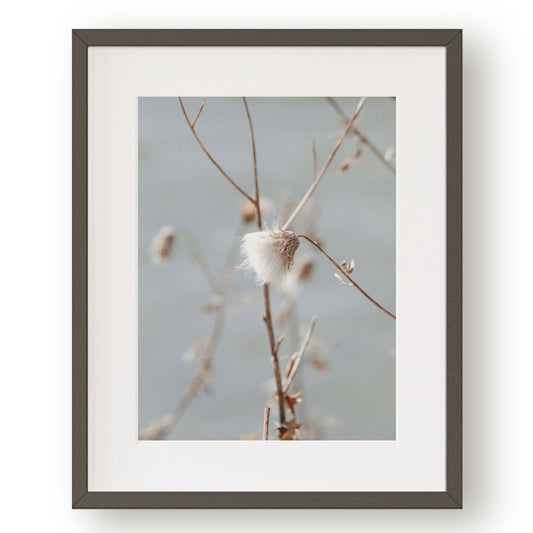 #1365 White Flower Against Blue Sky, Printable Art, Digital Download, Home Decor, Gallery Wall Art