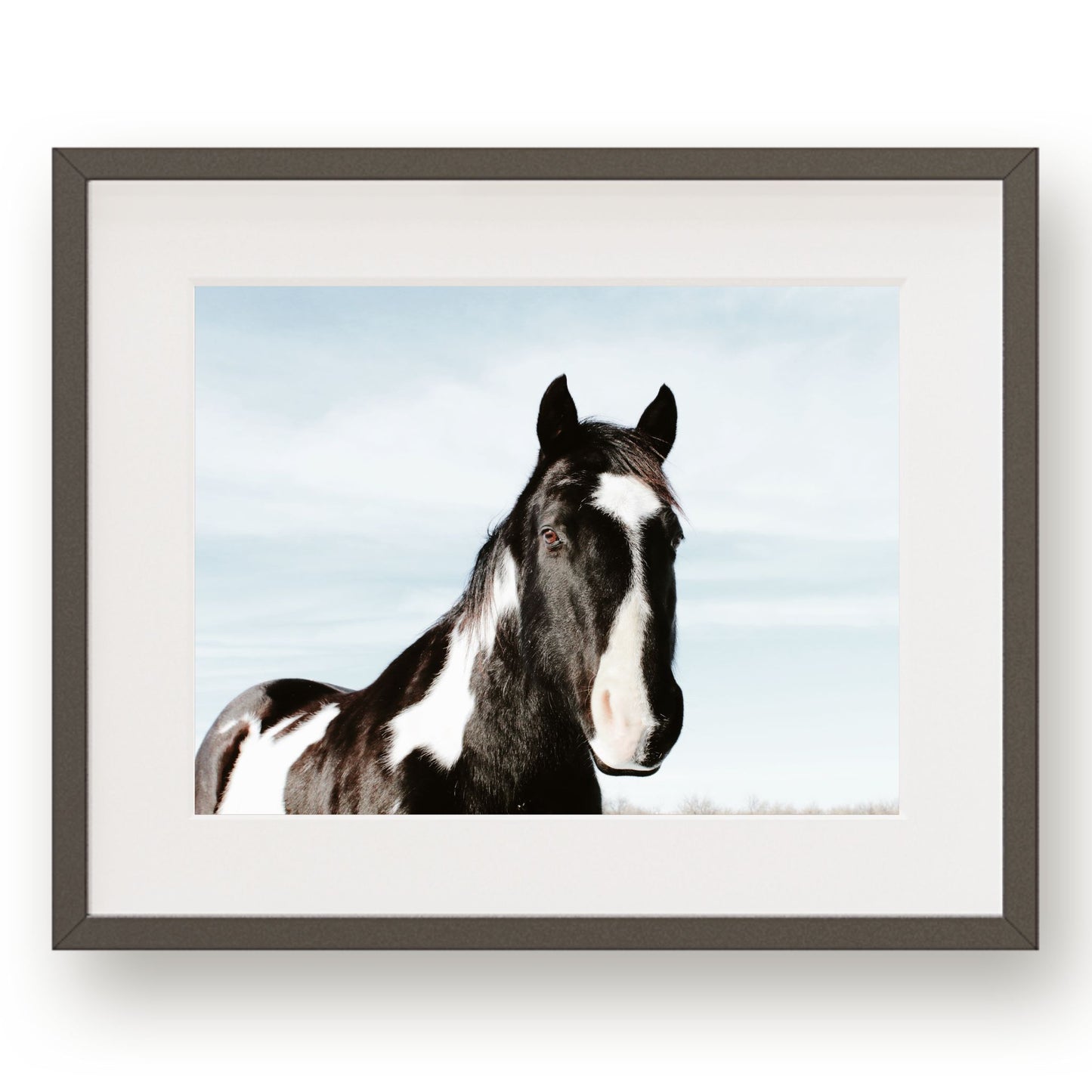 #1367 Black and White Horse on Blue Sky, Printable Art, Digital Download, Home Decor, Gallery Art, Wall Art