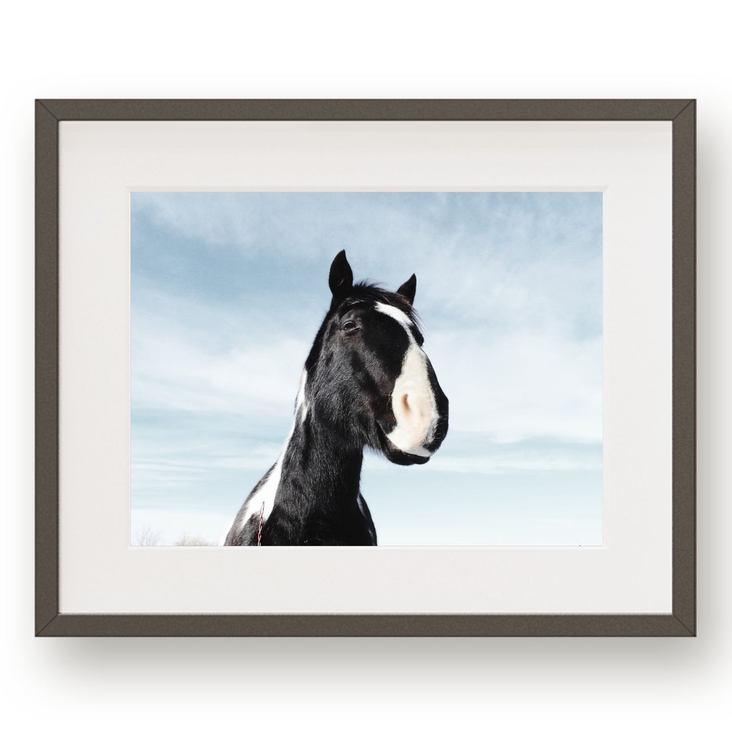 #1368 Black and White Horse on Blue Sky, Printable Art, Digital Download, Home Decor, Gallery Art, Wall Art