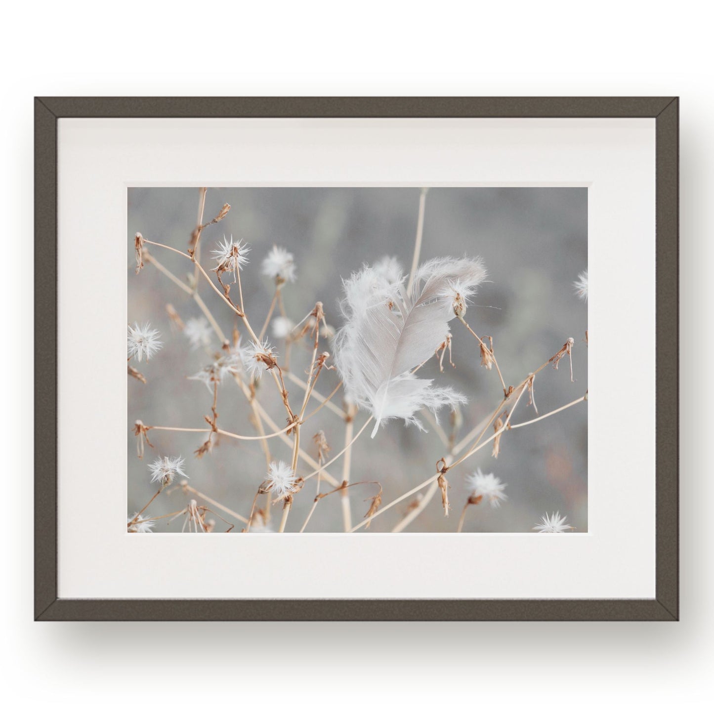 #1370 Soft Gray Feather in Meadow Branches, Printable Art, Digital Download, Home Decor, Gallery Wall Art