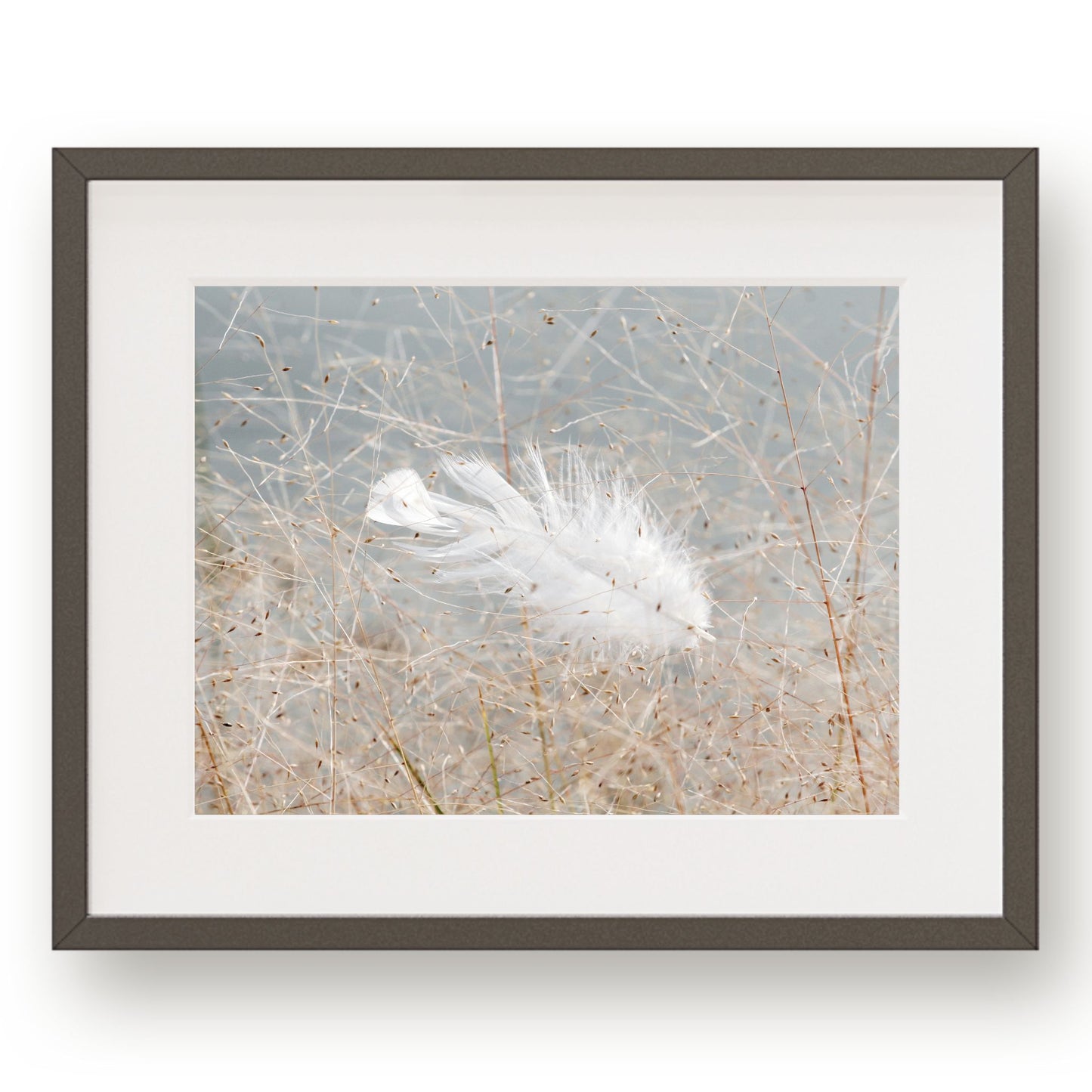 #1371 White Feather Against Blue Lake, Printable Art, Digital Download, Home Decor, Gallery Wall Art