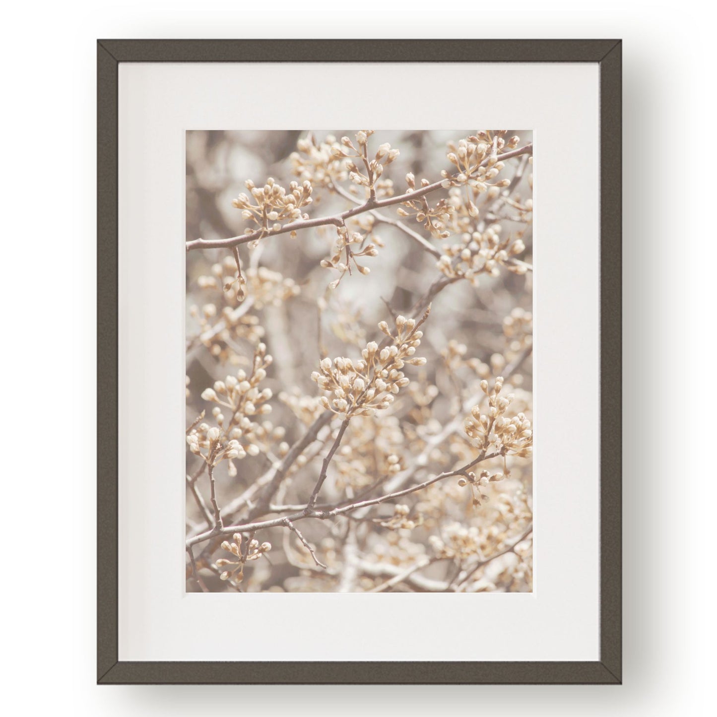 #1381 Spring Flower Buds, Printable Art, Digital Download, Home Decor, Gallery Art, Wall Art