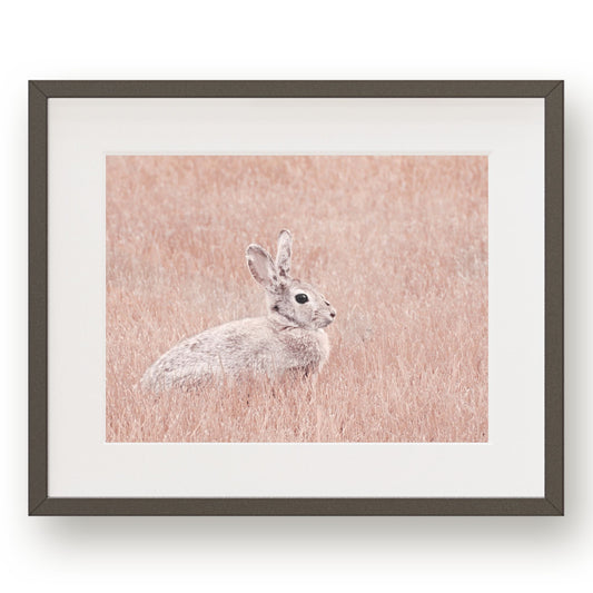 #1401 Rabbit in Pink Grass, Printable Art, Digital Download, Home Decor, Gallery Art, Wall Art