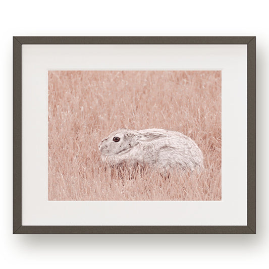 #1402 Rabbit in Pink Grass, Printable Art, Digital Download, Home Decor, Gallery Art, Wall Art