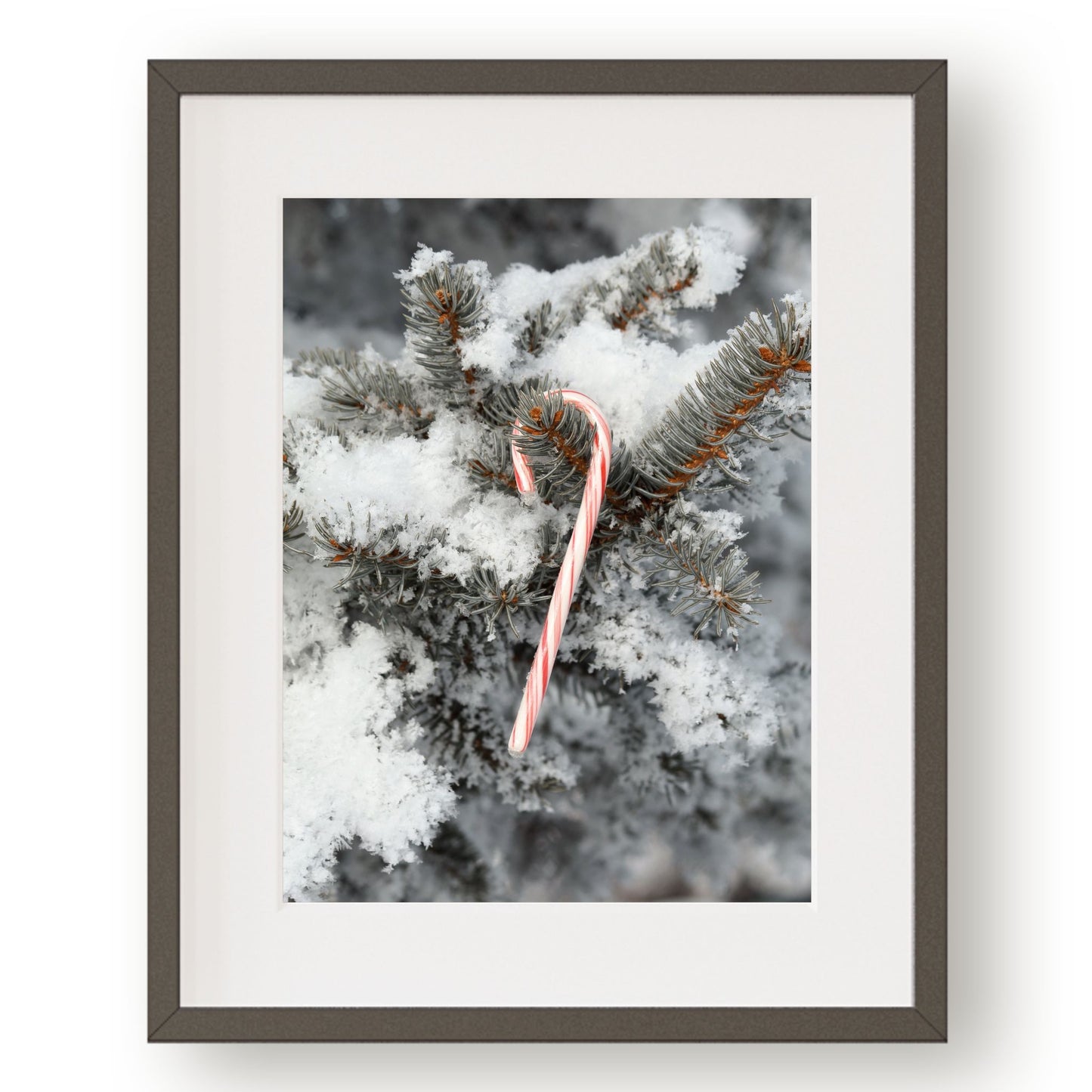 #1432 Candy Cane on Snowy Pine, Printable Art, Digital Download, Home Decor, Gallery Art, Wall Art