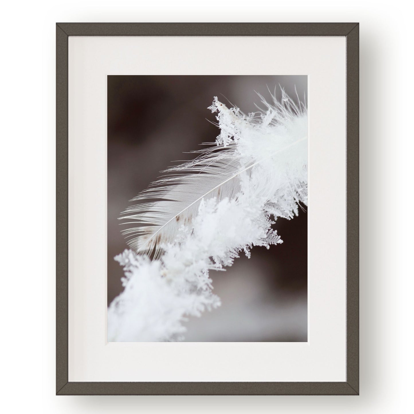 #1434  White Feather in Snowflakes, Printable Art, Digital Download, Home Decor, Gallery Art, Wall Art