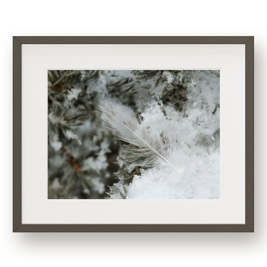 #1441 White Feather in Snow, Printable Art, Digital Download, Home Decor, Gallery Art, Wall Art