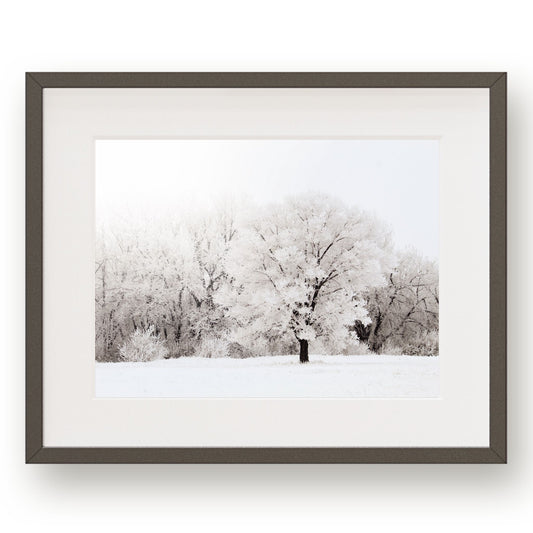 #1445 Frost Covered Trees in Meadow, Printable Art, Digital Download, Home Decor, Gallery Art, Wall Art