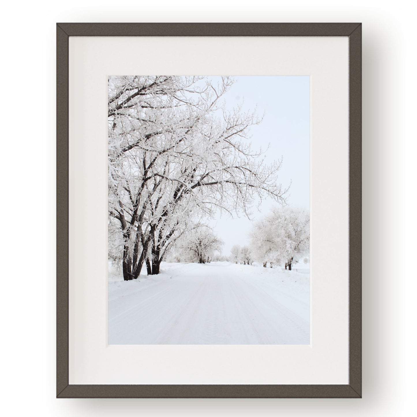 #1446 Winter Road Lined with Frost Covered Trees, Printable Art, Digital Download, Home Decor, Gallery Art, Wall Art