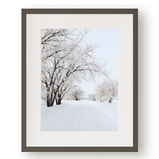 #1446 Winter Road Lined with Frost Covered Trees, Printable Art, Digital Download, Home Decor, Gallery Art, Wall Art